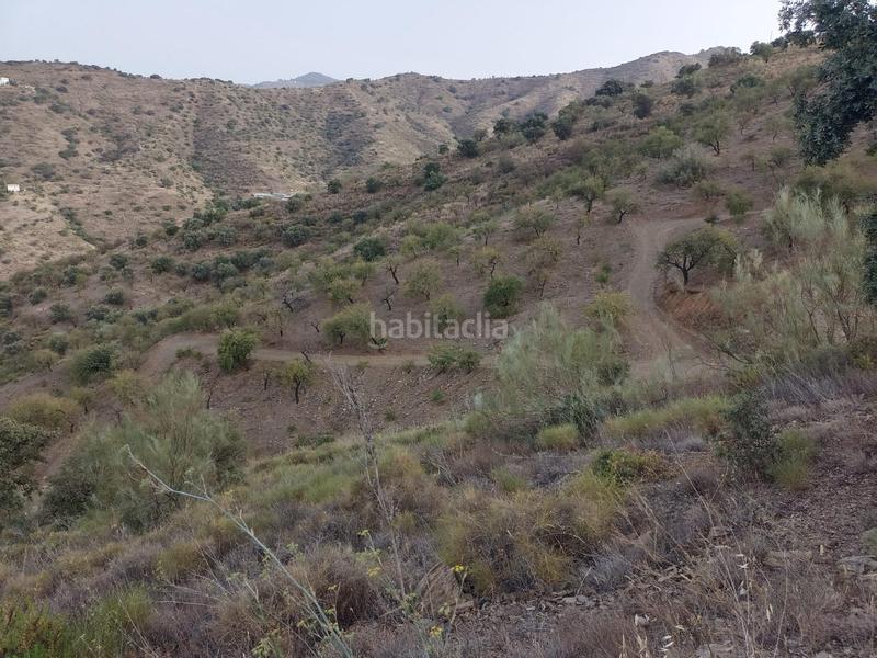 Foto 1a16fcb2-983c-4d4f-a7dd-64fbdd9aa525. Propriété dans Centro Histórico Málaga