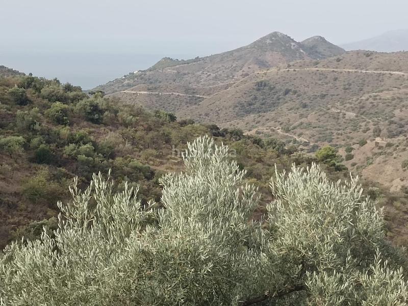 Foto 37861ec5-5a49-4fa5-87db-a51d32379e2b. Propriété dans Centro Histórico Málaga