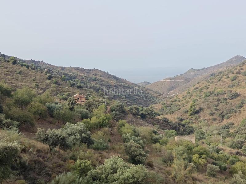 Foto 5f14a7df-f2b3-46db-b2ca-dcf5ac56403f. Propriété dans Centro Histórico Málaga