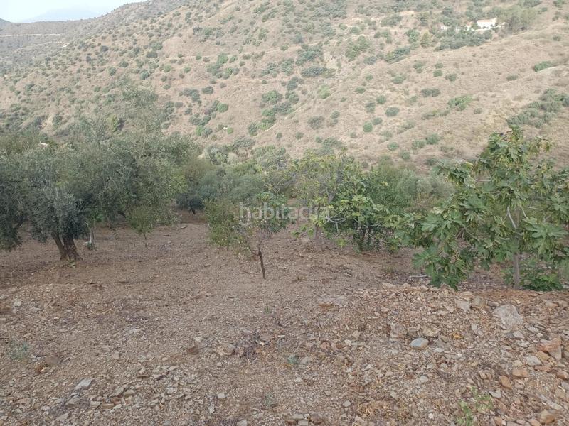 Foto 6aecf7da-c042-4311-9213-24926b7fa66b. Propriété dans Centro Histórico Málaga