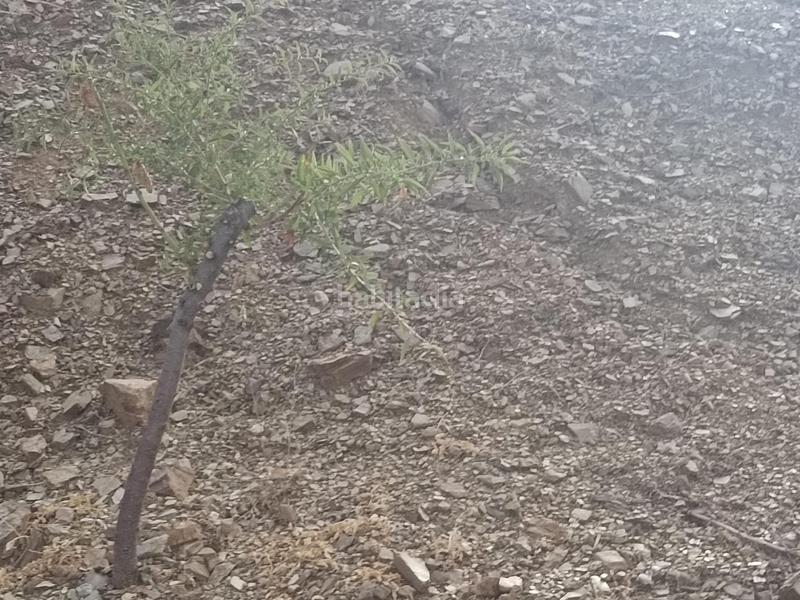 Foto 6e6562f0-2bdf-414a-8a46-f94bdfc18273. Propriété dans Centro Histórico Málaga