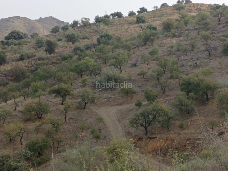 Foto 75b3a677-64a9-4e98-8e23-aeb2e19bb9a3. Propriété dans Centro Histórico Málaga