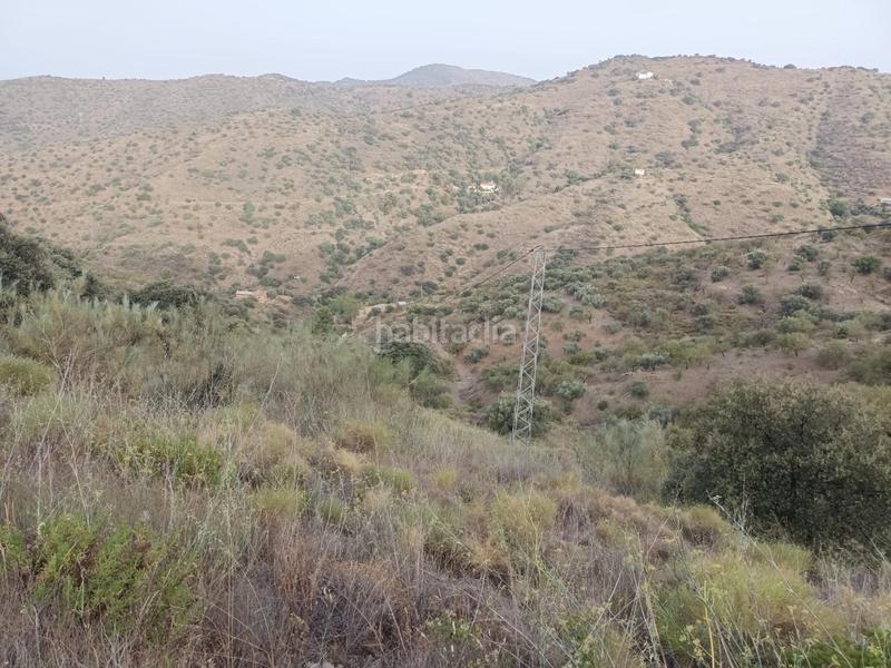 Foto 839f961a-347f-412f-a27e-8de18a283d2a. Propriété dans Centro Histórico Málaga