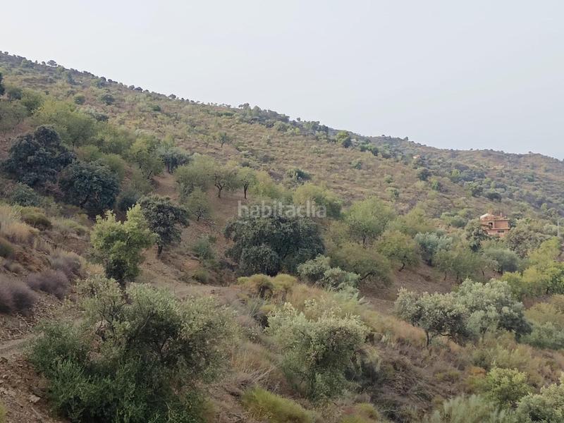 Foto 9a51388f-4bde-4b3c-9de0-a24106a5ead8. Propriété dans Centro Histórico Málaga