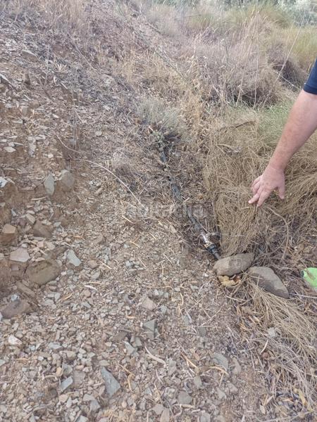 Foto a943783b-2a17-44b6-9e36-791d802e4845. Propriété dans Centro Histórico Málaga