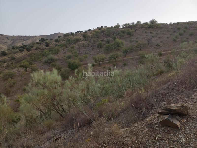 Foto abe93ca6-2480-45dc-836f-2c6d3054d378. Propriété dans Centro Histórico Málaga