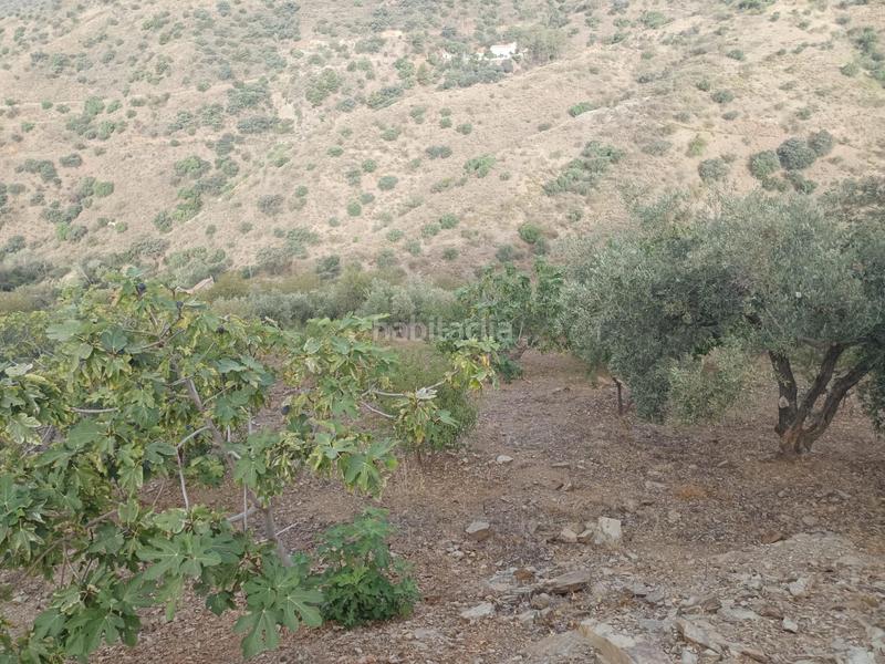 Foto ca60899d-7918-4212-93e9-ff9c0a19cfdc. Propriété dans Centro Histórico Málaga