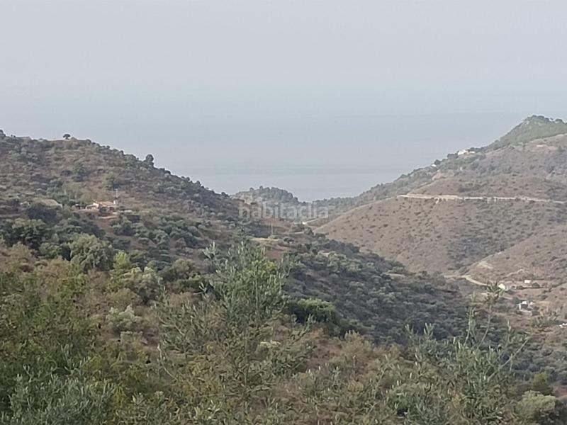 Foto cb7553a8-cbe5-4b0a-ac45-053fccd21f0f. Propriété dans Centro Histórico Málaga