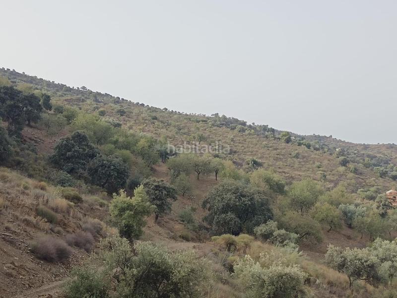 Foto d81c7122-ad64-41c6-9a7d-99114e505673. Propriété dans Centro Histórico Málaga