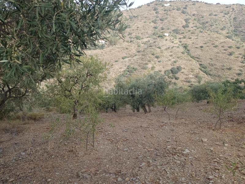 Foto e7da3497-8ba0-4e34-beef-080ff9fddbe5. Propriété dans Centro Histórico Málaga