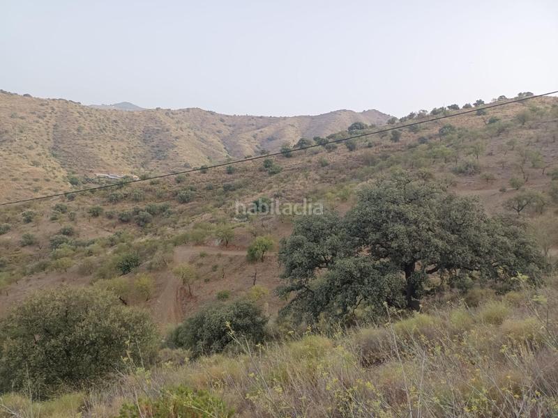 Foto ed3a5cd8-c558-4742-9395-9c09d39d4a41. Propriété dans Centro Histórico Málaga