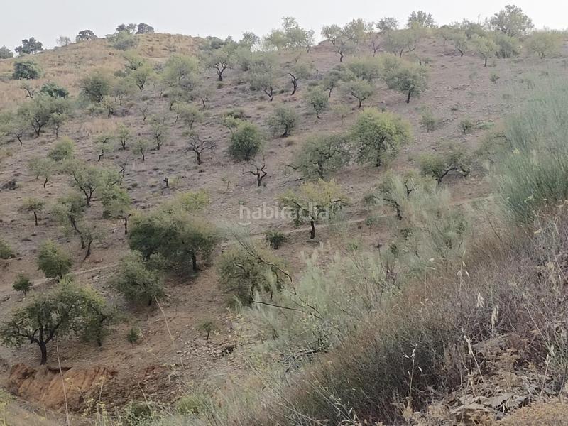 Foto f55000e4-89de-44bd-928c-3baa982df1b9. Propriété dans Centro Histórico Málaga
