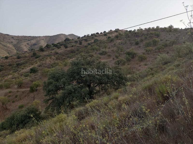 Foto f583e739-3abd-4e0c-8fb9-515533fabd18. Propriété dans Centro Histórico Málaga