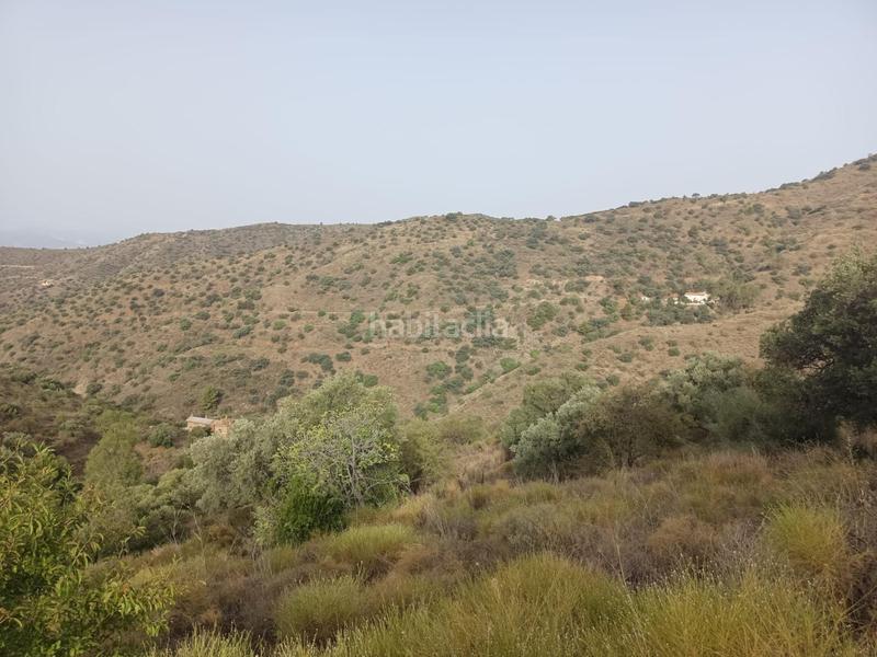 Foto 10e7fc4e-bcc0-4e8e-8fad-883484b4e27c. Propriété dans Centro Histórico Málaga