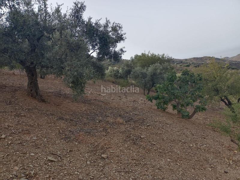 Foto 2033e32c-27cc-4e26-9e19-8707535e0159. Propriété dans Centro Histórico Málaga