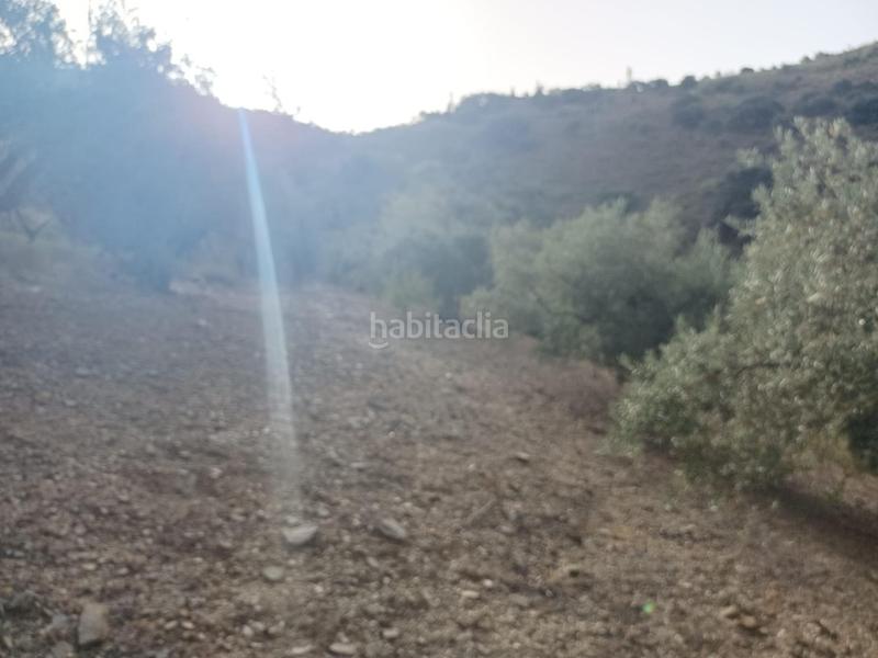 Foto 434c4b77-d8ad-4944-8530-3b50cab322f3. Propriété dans Centro Histórico Málaga