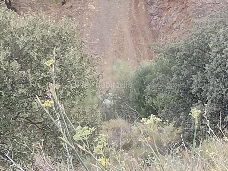 Foto 595b4e79-f747-47ba-a6ad-fb9489e74e25. Propriété dans Centro Histórico Málaga