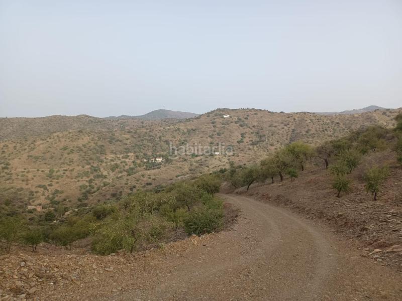 Foto 6200cdcf-eb50-4c8f-8b36-e65f8fd65d31. Propriété dans Centro Histórico Málaga