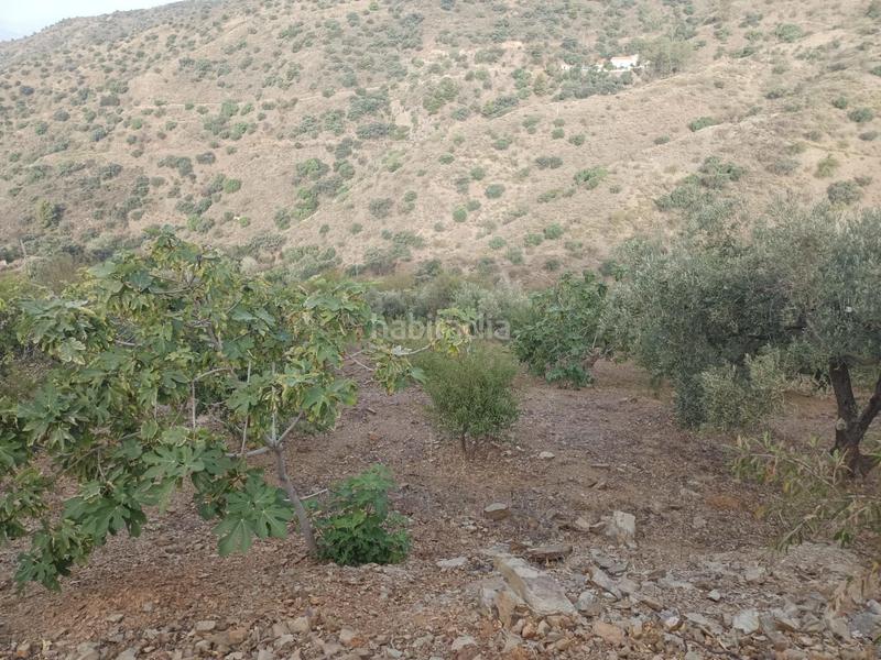 Foto 6a1908d7-7a8b-4ed0-af27-9e35554522f0. Propriété dans Centro Histórico Málaga