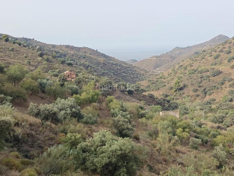 Foto 6c4bea26-554b-457a-b6e7-5c1955cda86e. Propriété dans Centro Histórico Málaga