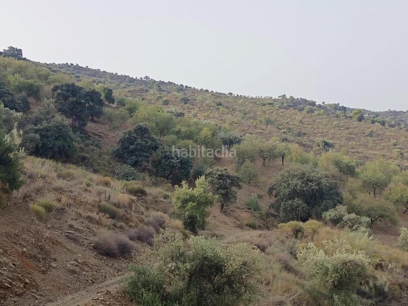 Foto 6dc4fdc2-f901-4d50-a439-fdfe37ff1cb0. Propriété dans Centro Histórico Málaga