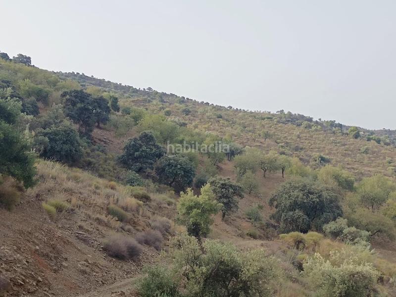 Foto 70740cef-5655-4182-a398-b61eb679a16c. Propriété dans Centro Histórico Málaga