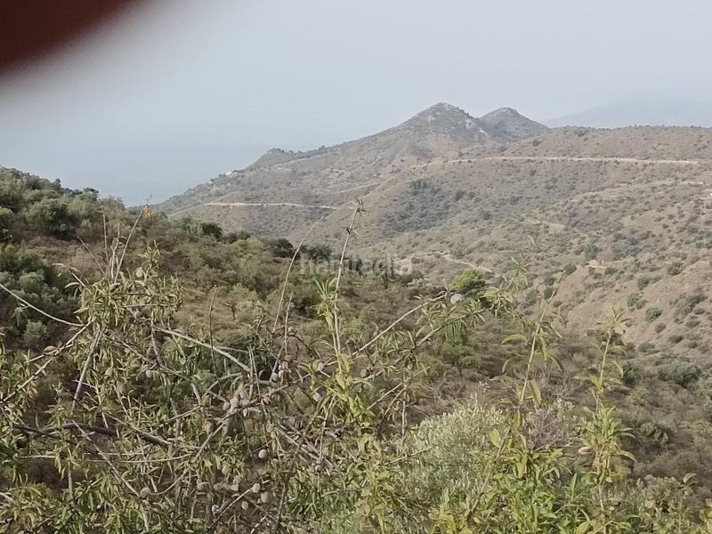 Foto 8909adea-335c-44c8-8a15-78a92f262f81. Propriété dans Centro Histórico Málaga