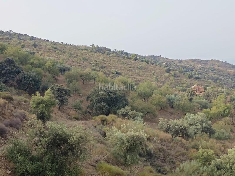 Foto 8b2f68d2-871f-4552-b5c1-94d446e57749. Propriété dans Centro Histórico Málaga