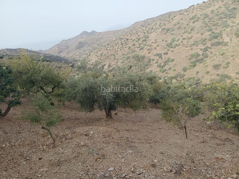 Foto 9097bc5c-3ff0-42e9-bba7-ead324dbc08a. Propriété dans Centro Histórico Málaga