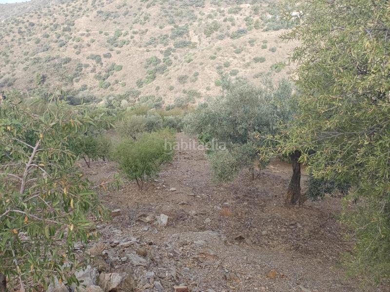 Foto 9c00d185-10f5-4b96-bc4f-f882aba8f696. Propriété dans Centro Histórico Málaga