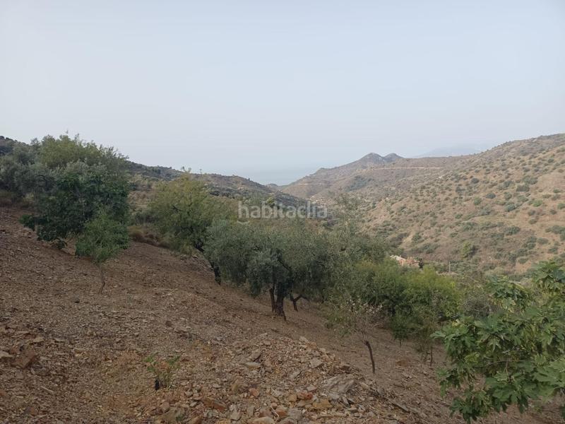 Foto a9bc6fc2-f9f0-45b8-89f6-9ae9e8e30e36. Propriété dans Centro Histórico Málaga