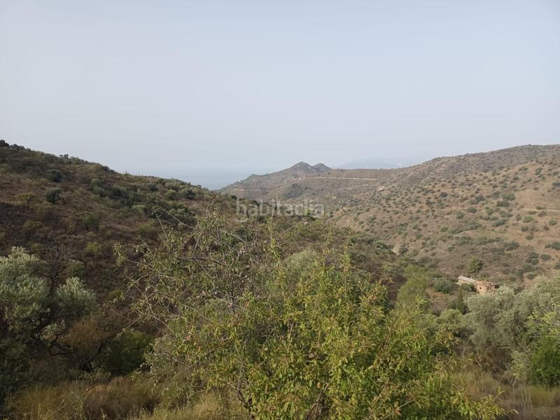 Foto be289de3-4fde-4177-a5bd-f274a27ff1dc. Propriété dans Centro Histórico Málaga