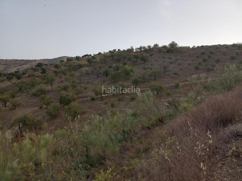 Foto f0069f69-059b-423a-912d-469047fc8434. Propriété dans Centro Histórico Málaga