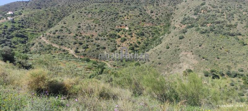 Foto 4c3f105f-73aa-4164-b4e9-61a62c86de2a. Landgut in alegría de la huerta- jardín de Málaga Málaga