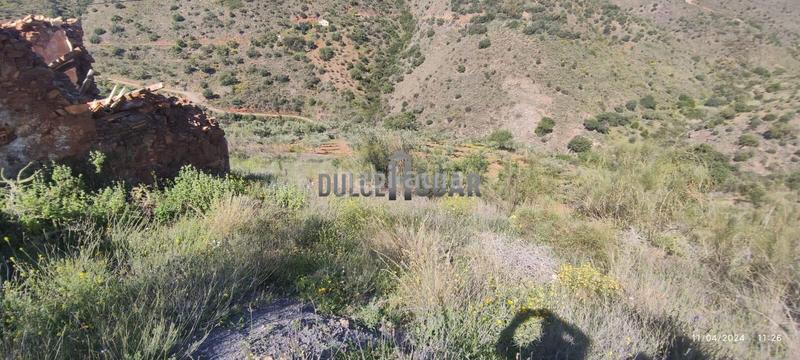 Foto 675af92f-8838-4c7a-b829-c5978a717e8f. Landgut in alegría de la huerta- jardín de Málaga Málaga