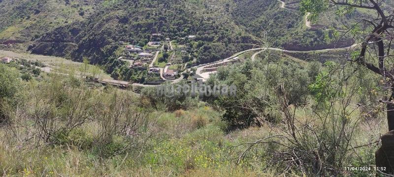 Foto 7bfeb25b-8af8-4d1f-af5e-8670f3926811. Landgut in alegría de la huerta- jardín de Málaga Málaga