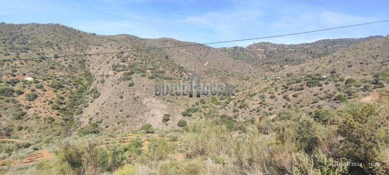 Foto d3e07700-4efa-4830-8a88-0030886443b6. Landgut in alegría de la huerta- jardín de Málaga Málaga