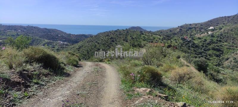 Foto dee2f71d-bfc3-4be3-8f1c-87187b03bf14. Landgut in alegría de la huerta- jardín de Málaga Málaga