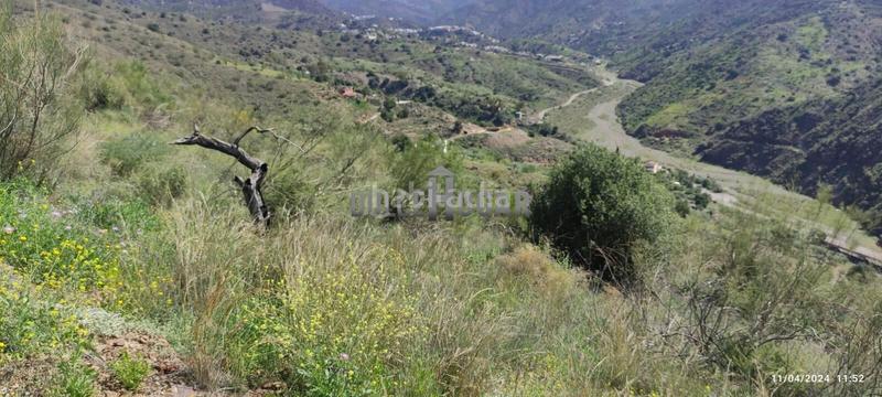 Foto dfa6c34e-cec5-4ad2-95e2-6e365b75a694. Landgut in alegría de la huerta- jardín de Málaga Málaga