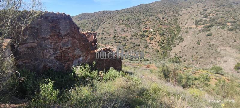 Foto e965cbc6-7e60-4a3c-b03a-25c5cf5070f4. Landgut in alegría de la huerta- jardín de Málaga Málaga