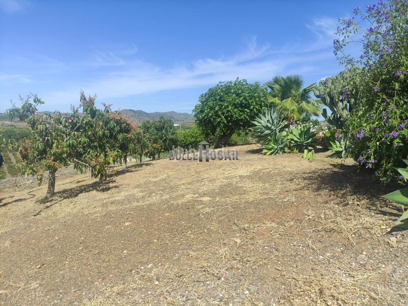 Foto b1d2ea3b-14e7-4f74-8988-10a19d9e284a. Casale con parcheggio in Almayate Bajo