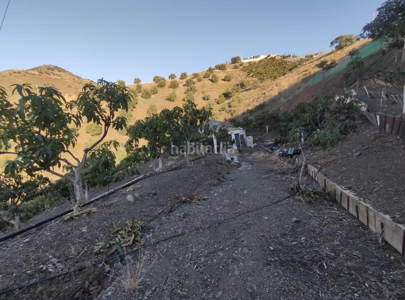 Foto 57d22cb0-543f-4c29-a7fe-7795e814b4e6. Masia amb piscina a Cútar