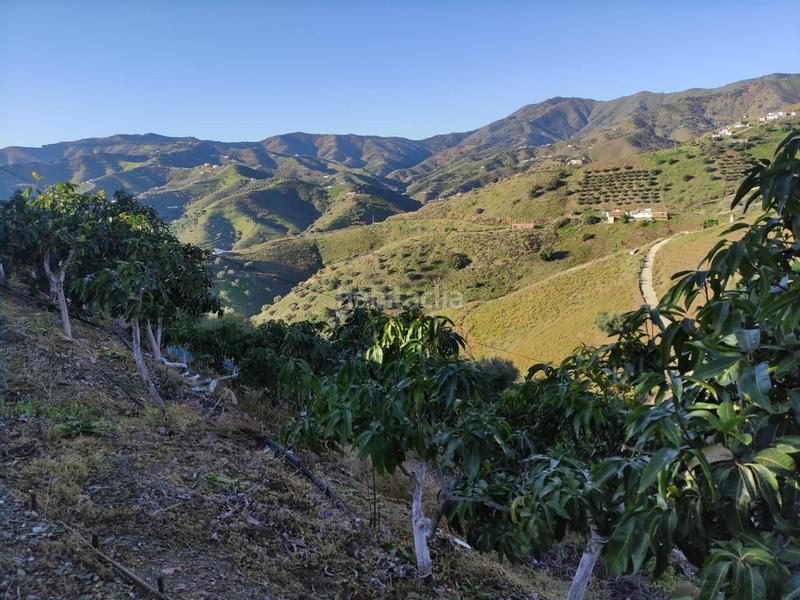 Foto 5fc8b5b7-d24f-4f0a-9c68-cf9f4b7dcb87. Masia amb piscina a Cútar