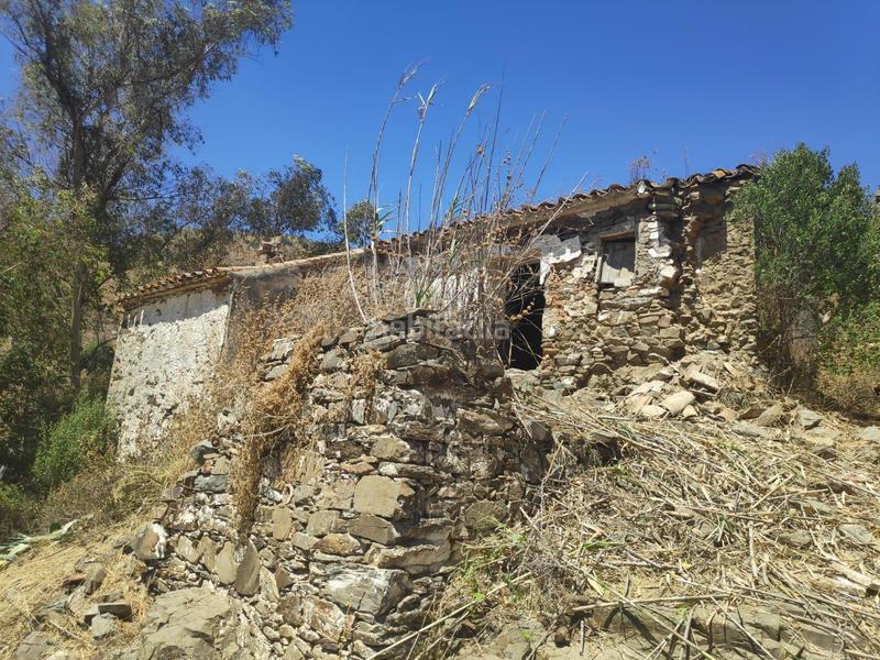 Foto 35ea245a-01ef-4b10-8886-cdca2c549638. Finca rústica parcela rustica 7000 mts por camino totalan en Málaga