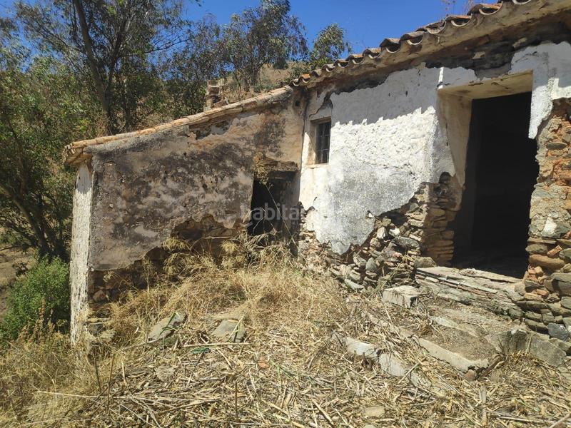 Foto 7108ad17-6b26-48ba-90c0-4505245a637c. Finca rústica parcela rustica 7000 mts por camino totalan en Málaga