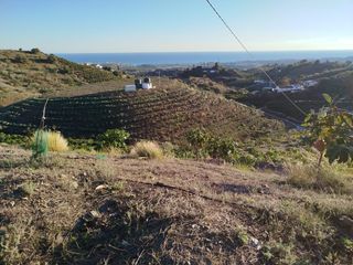 Finca rústica a LOS ALESES