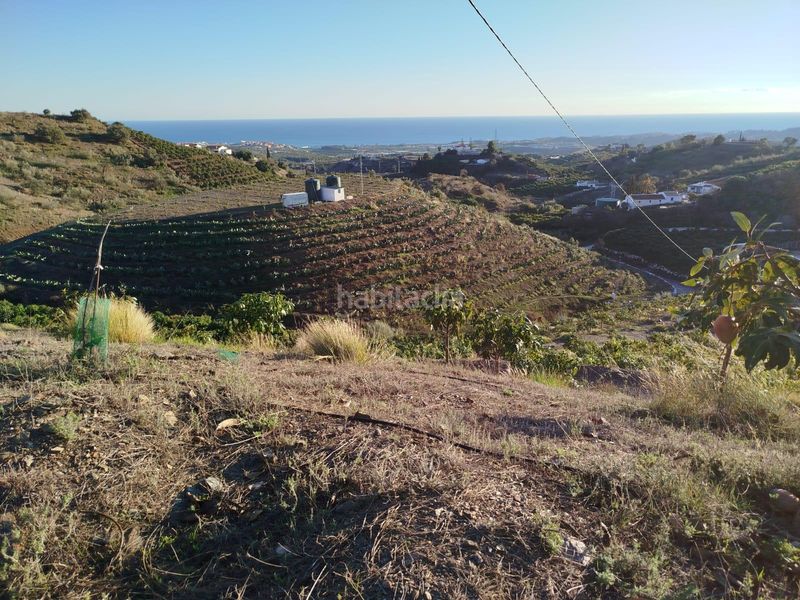 Foto 6406370d-6d26-42a6-92c9-2c4981dd6f15. Finca rústica a Almayate Bajo