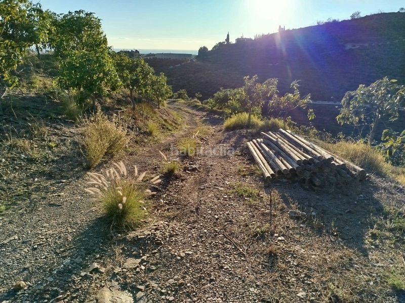 Foto daa0dab2-7f8a-4399-86e3-dc42c4702330. Finca rústica a Almayate Bajo