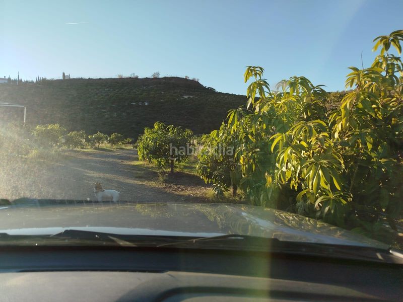 Foto dce44509-588d-467a-a50b-ae589b805ffe. Finca rústica a Almayate Bajo