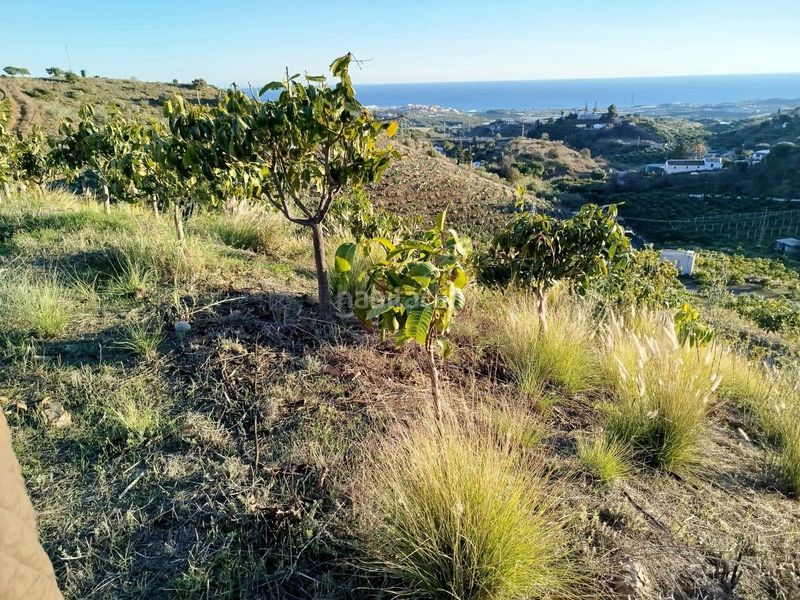 Foto fe983f95-e616-485e-87c2-6224152296a7. Finca rústica a Almayate Bajo
